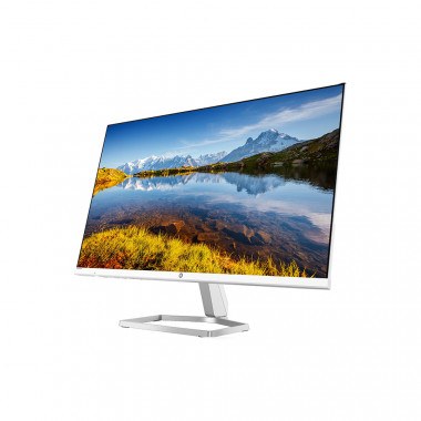HP (23.8 Inch) with IPS Panel Technology